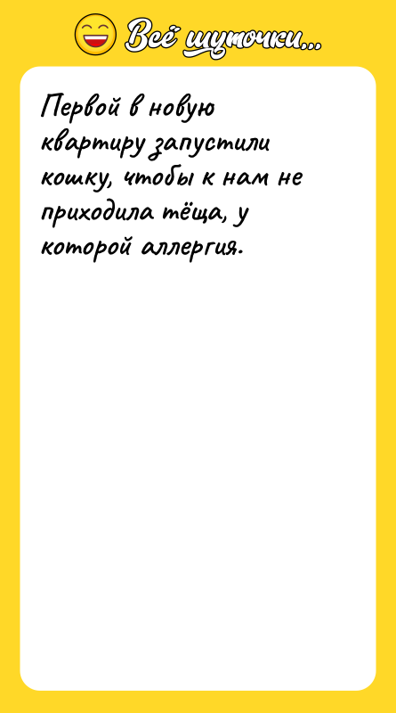 Первой в новую квартиру запустили кошку, чтобы к нам не