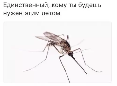 Смешная картинка №187584