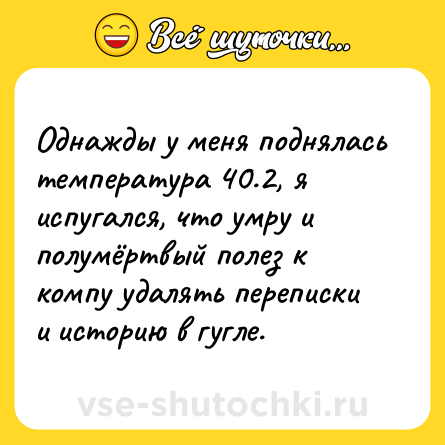 Шутка: Однажды у меня поднялась температура 40.2, я испугался, что умру и полумёртвый полез к компу удалять переписки и историю в гугле.