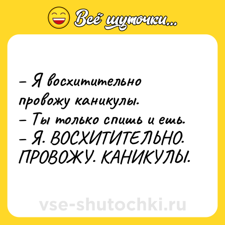 Шутка: – Я восхитительно провожу каникулы. <br>– Ты только спишь и ешь. <br>– Я. ВОСХИТИТЕЛЬНО. ПРОВОЖУ. КАНИКУЛЫ.