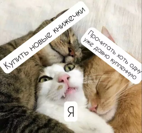 Смешная картинка №736147