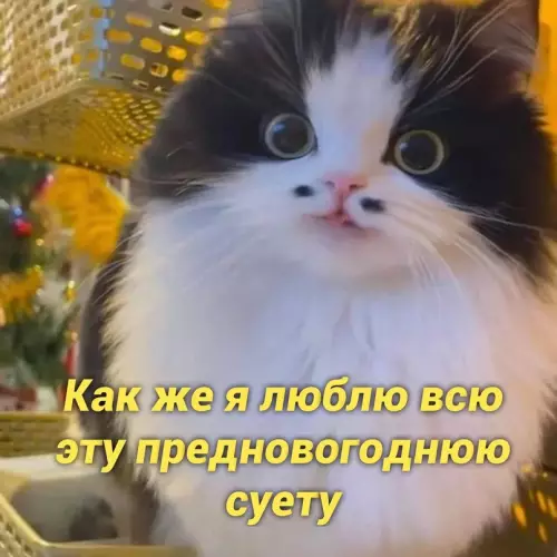 Смешная картинка №658108