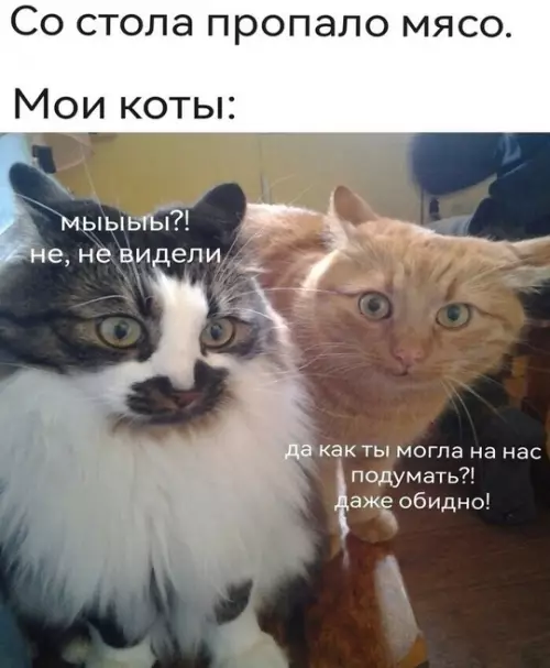 Смешная картинка №761424