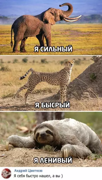 Смешная картинка №504407