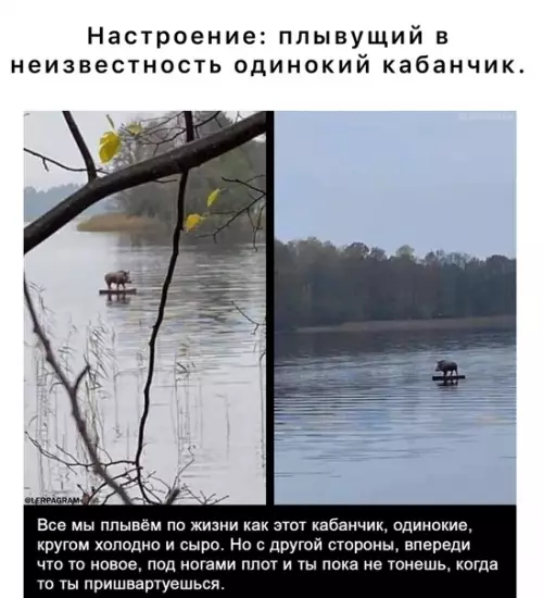 Смешная картинка №578708