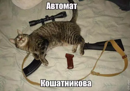 Смешная картинка №209300