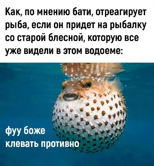 Смешная картинка №724820 Это мы уже видели рыбалка