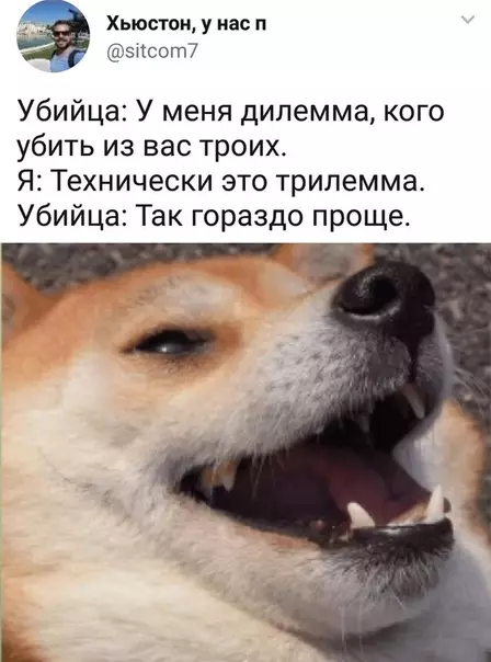 Смешная картинка №347880 Убийцa-гумaнитарий.