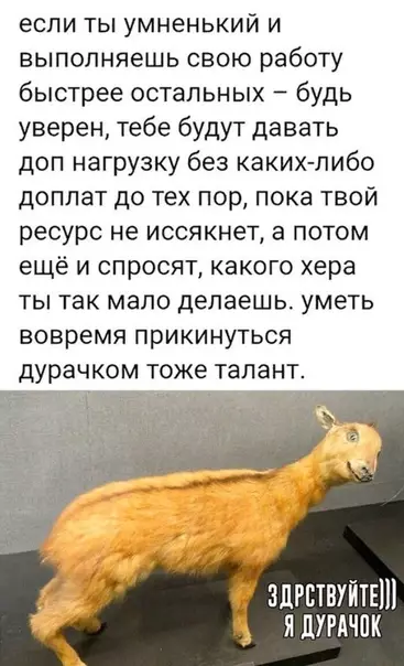 Смешная картинка №491199 Это реально работает!