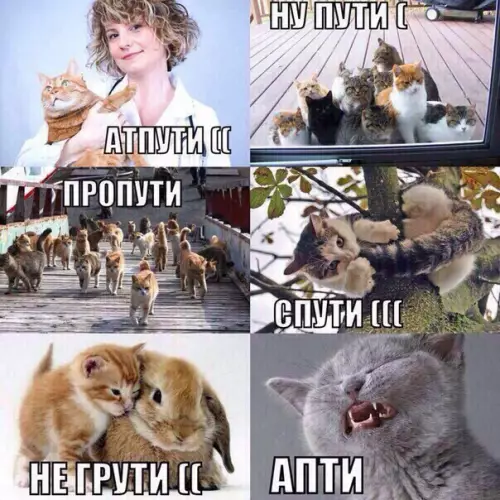 Смешная картинка №181903