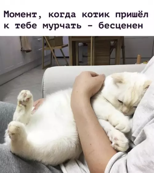 Смешная картинка №273831