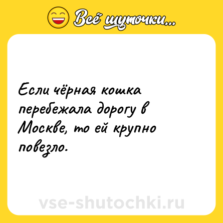 Шутка: Если чёрная кошка перебежала дорогу в Москве, то ей крупно повезло.