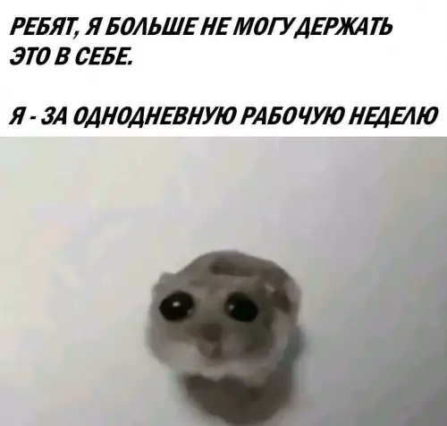Смешная картинка №779212
