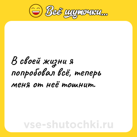 Шутка: В своей жизни я попробовал всё, теперь меня от неё тошнит.