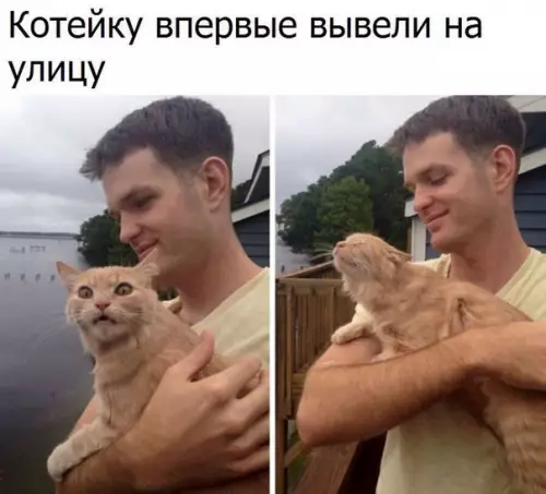 Смешная картинка №239860