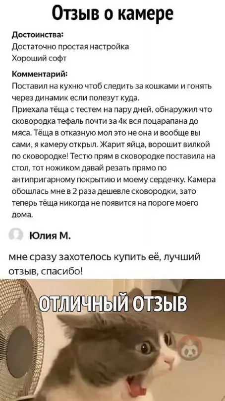 Смешная картинка №611183 Мне не нужна была камера, пока не прочитал этот отзыв! Теперь нужна! ? тёща