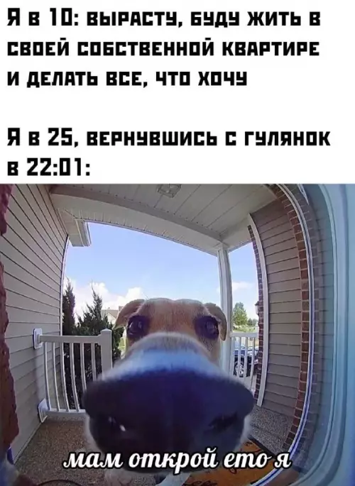 Смешная картинка №694598