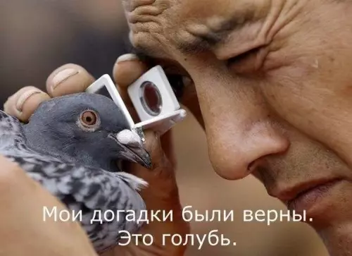 Смешная картинка №217438