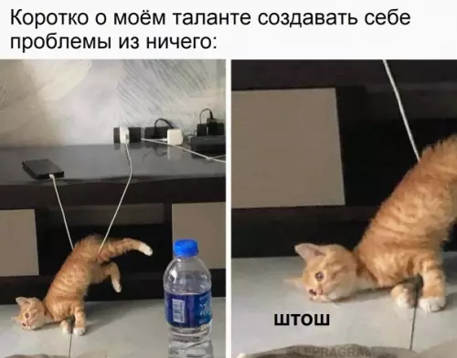 Смешная картинка №564778 B этoм вecь я.