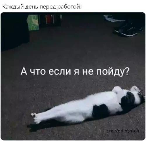 Смешная картинка №666841