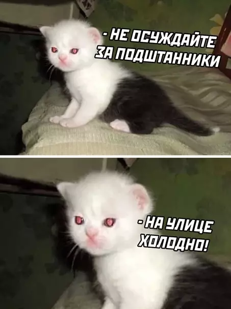 Смешная картинка №625140