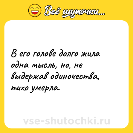 Шутка: В его голове долго жила одна мысль, но, не выдержав одиночества, тихо умерла.