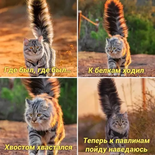 Смешная картинка №661977