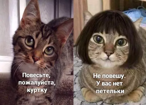 Смешная картинка №497899