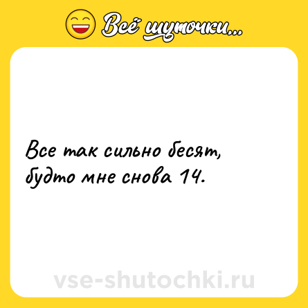 Шутка: Все так сильно бесят, будто мне снова 14.