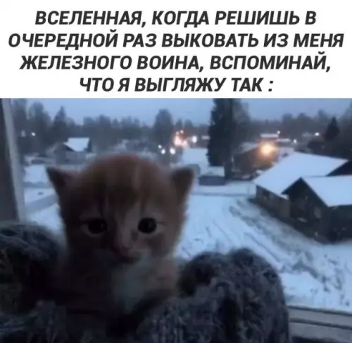 Смешная картинка №801760