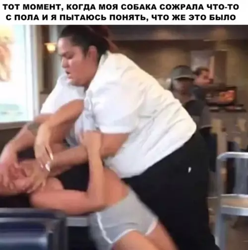 Смешная картинка №292839