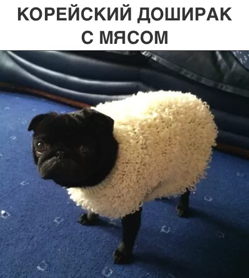 Смешная картинка №302315