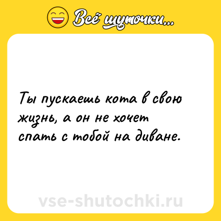 Шутка: Ты пускаешь кота в свою жизнь, а он не хочет спать с тобой на диване.