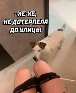Смешная картинка №680248