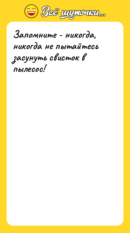 Запомните - никогда, никогда не пытайтесь засунуть свисток в пылесос!