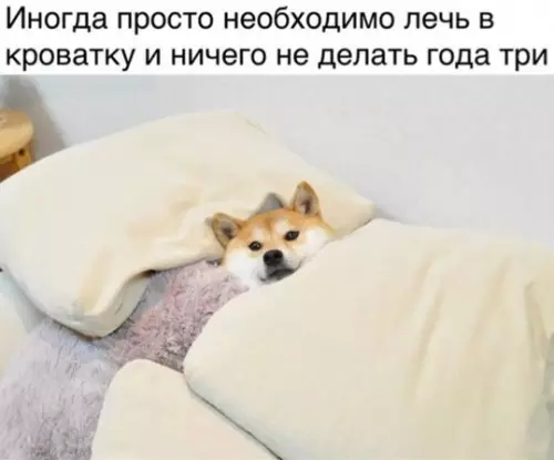 Смешная картинка №444987 Я готов на эту авантюру