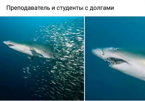 Смешная картинка №304527