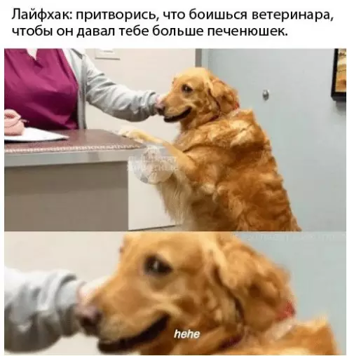 Смешная картинка №240381