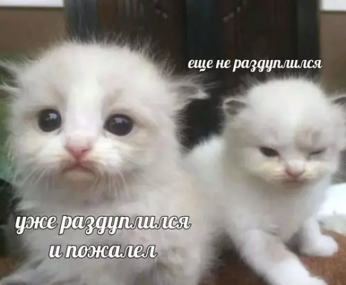 Смешная картинка №738821