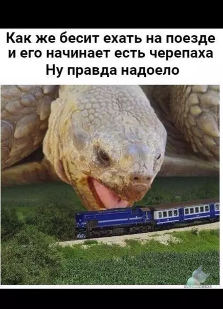 Смешная картинка №379709