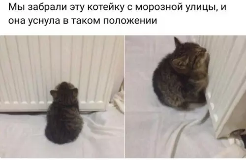Смешная картинка №234479