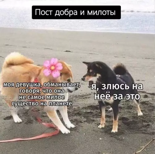 Смешная картинка №488483