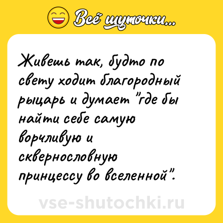 Шутка: Живешь так, будто по свету ходит благородный рыцарь и думает 