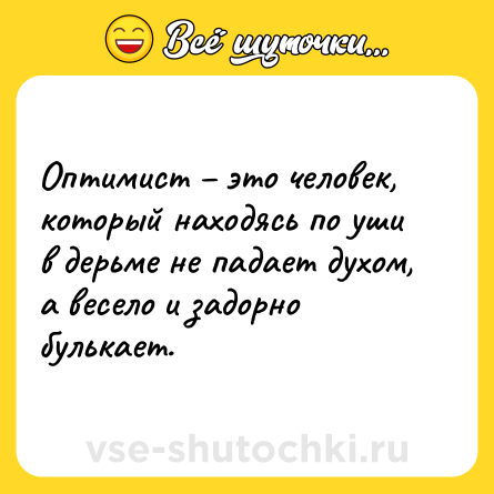 Шутка: Оптимист – это человек, который находясь по уши в дерьме не падает духом, а весело и задорно булькает.