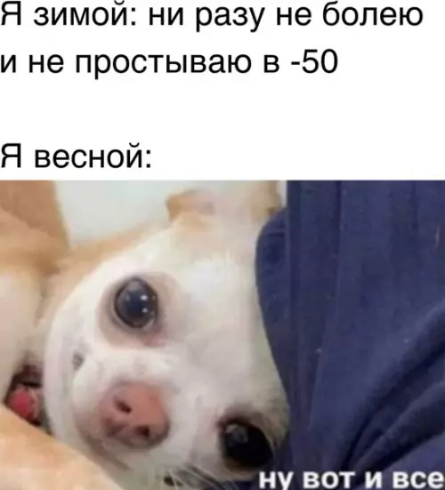 Смешная картинка №558496