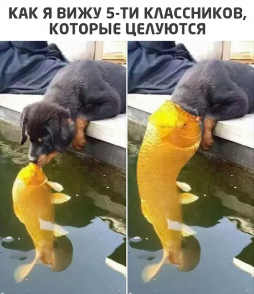 Смешная картинка №542541