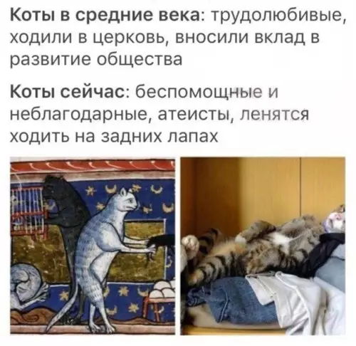 Смешная картинка №699195