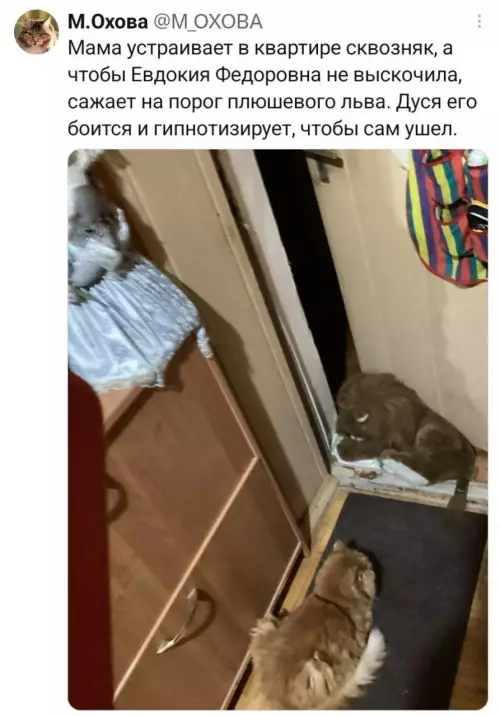 Смешная картинка №821413
