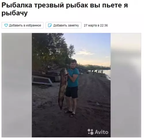 Смешная картинка №637735 объявления, рыбаки