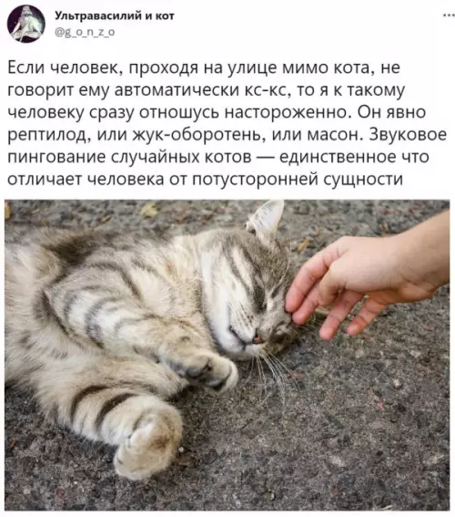 Смешная картинка №648990